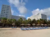 Grand Oasis Palm