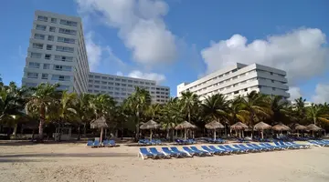 Grand Oasis Palm