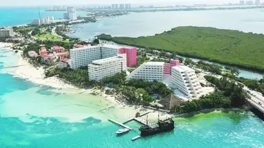Grand Oasis Palm