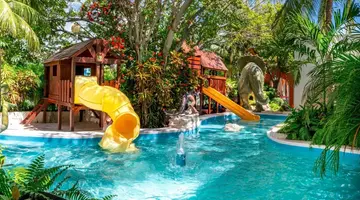 Grand Oasis Palm
