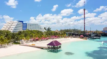 GRAND OASIS PALM