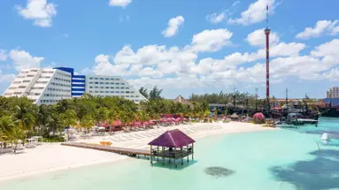 GRAND OASIS PALM