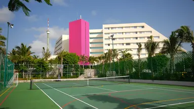 GRAND OASIS PALM