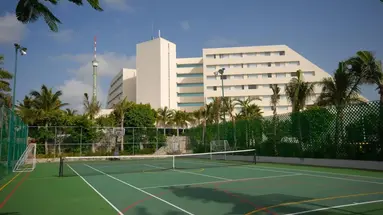 Grand Oasis Palm