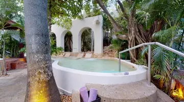 Grand Oasis Palm
