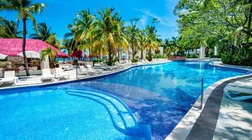 GRAND OASIS PALM