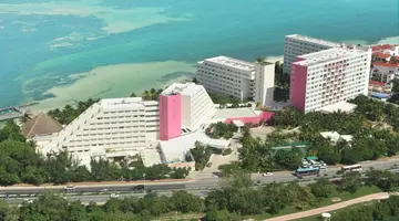 Grand Oasis Palm