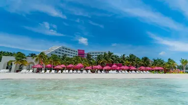 GRAND OASIS PALM