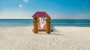 Grand Oasis Palm