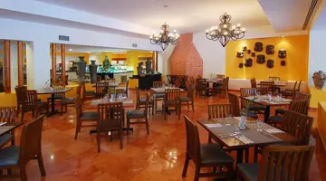 Grand Oasis Palm