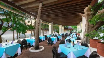 Grand Oasis Palm