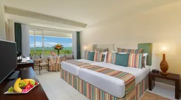 Grand Oasis Palm