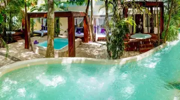 Grand Oasis Palm