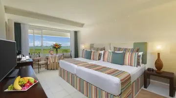 Grand Oasis Palm