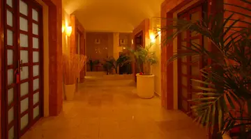 GRAND OASIS PALM
