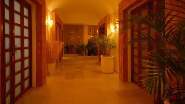 GRAND OASIS PALM