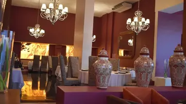 Grand Oasis Palm