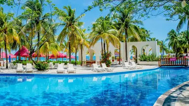 GRAND OASIS PALM