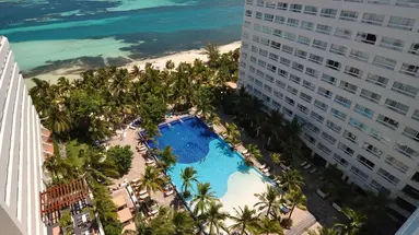 Grand Oasis Palm