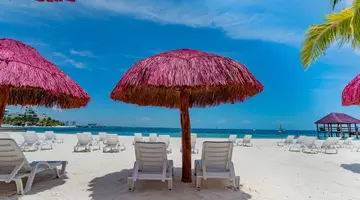 GRAND OASIS PALM