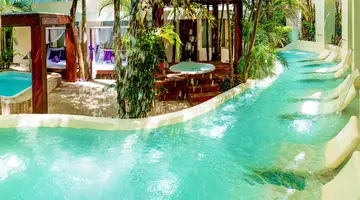 GRAND OASIS PALM