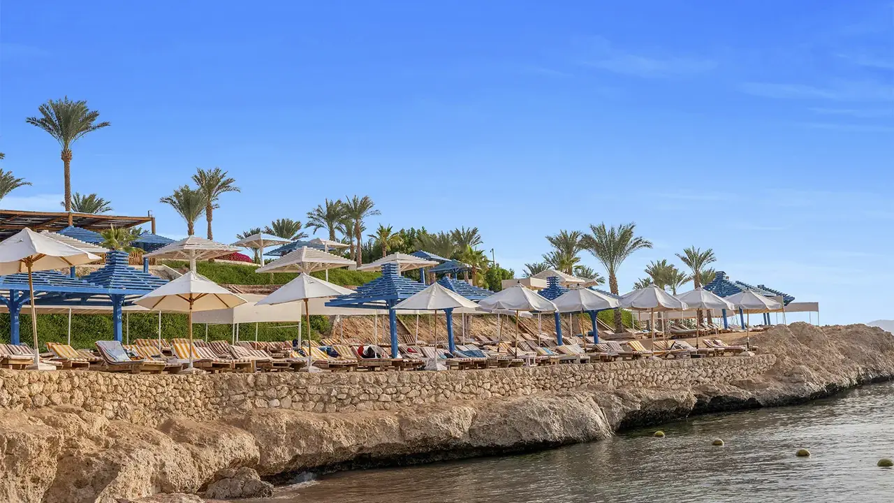 Grand Oasis Resort