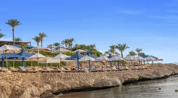 Grand Oasis Resort
