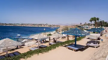 Grand Oasis Resort