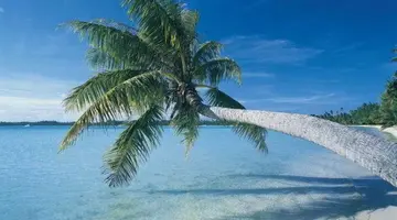Grand Palladium Jamaica Resort Spa All Inclusive