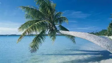 Grand Palladium Jamaica Resort Spa All Inclusive