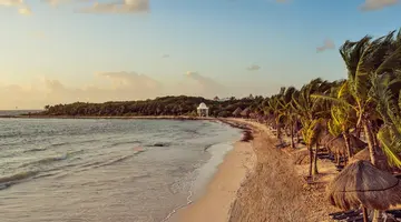 Grand Palladium White Sand Resort & Spa
