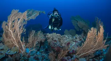GRAND PARK KODHIPPARU MALDIVES