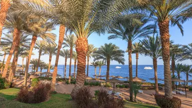 GRAND ROTANA RESORT & SPA