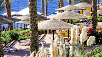 Grand Rotana Resort & Spa