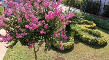 Grand Seker Hotel