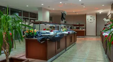 Grand Viking Hotel