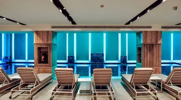 Grand VM Conference & SPA