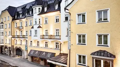 Grauer Bär