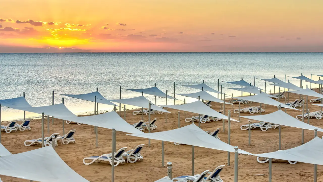 Gravity Sahl Hasheesh