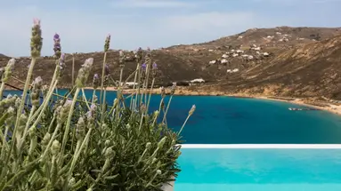 Greco Philia Elia Mykonos