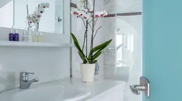 Greco Philia Elia Mykonos