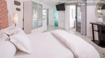 Greco Philia Hotel Boutique Mykonos