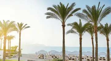 GRECOTEL AMIRANDES EXCLUSIVE RESORT