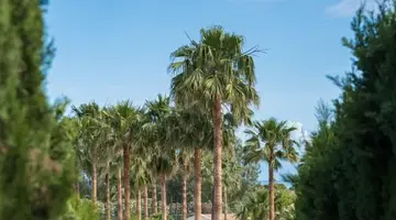 GRECOTEL LUX ME COSTA BOTANICA