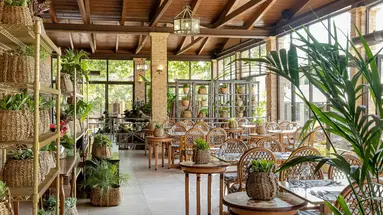 Grecotel LUX ME Costa Botanica
