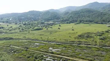 Grecotel LUXME Costa Botanica