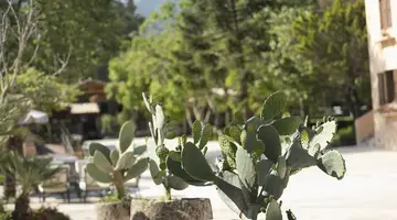 Grecotel LUXME Costa Botanica