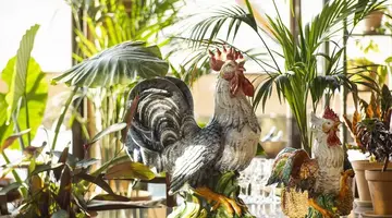 Grecotel LUXME Costa Botanica