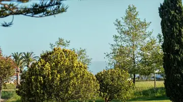 Grecotel LUXME Costa Botanica