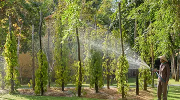 GREEN BAY PHU QUOC RESORT & SPA
